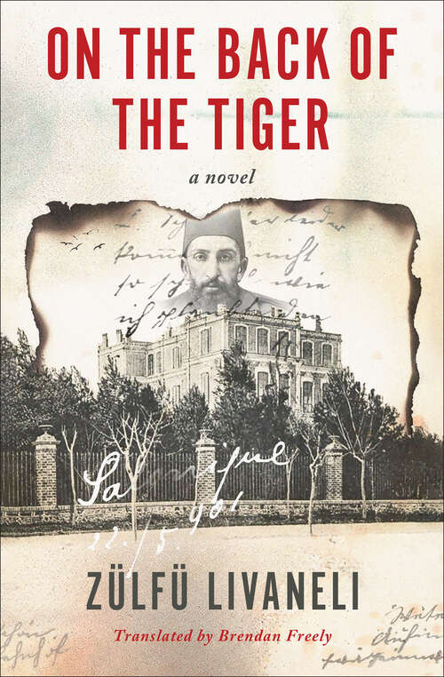 Book cover of On the Back of the Tiger: A Novel