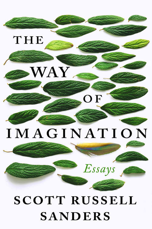 Book cover of The Way of Imagination: Essays