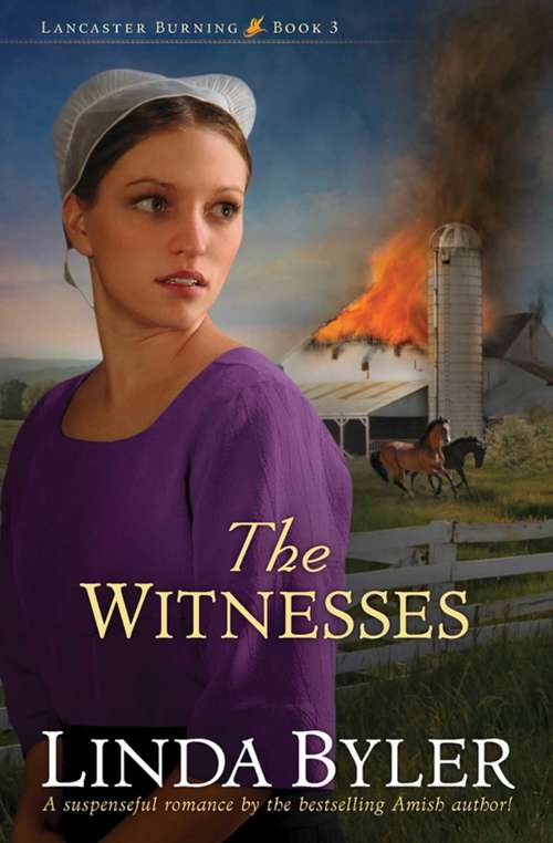 Book cover of Witnesses: Lancaster Burning (Lancaster Burning #03)