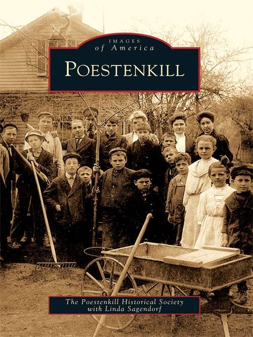 Book cover of Poestenkill