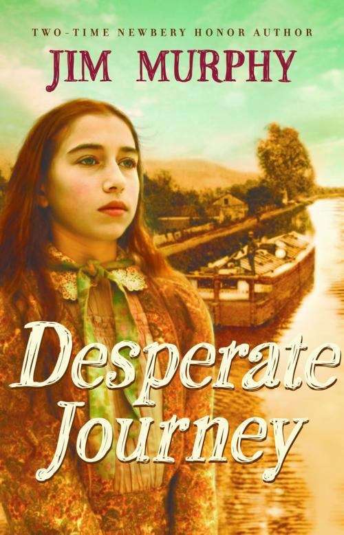 Book cover of Desperate Journey