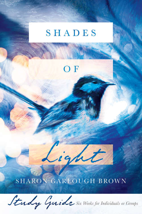 Book cover of Shades of Light Study Guide