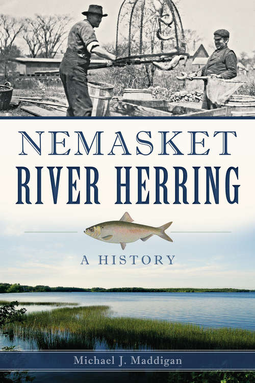 Book cover of Nemasket River Herring: A History (Natural History)