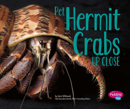 Book cover of Pet Hermit Crabs Up Close (Pets Up Close Ser.)
