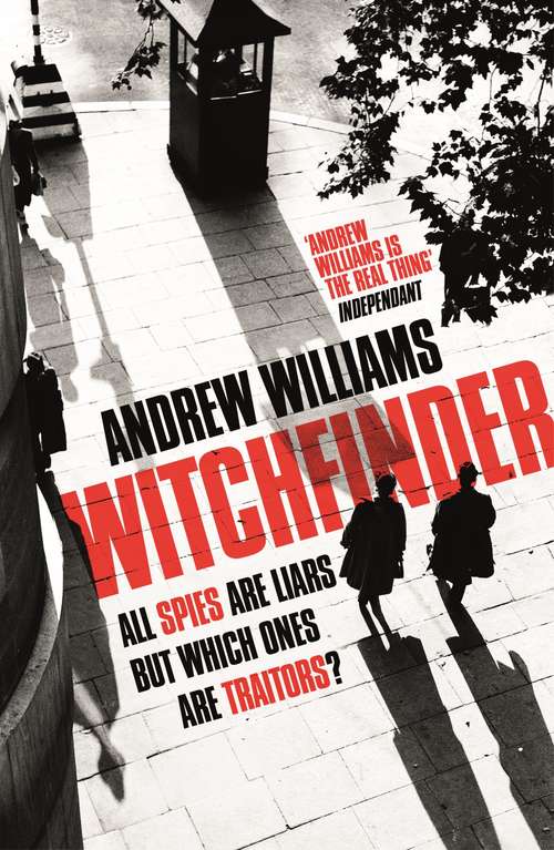 Book cover of Witchfinder: Shortlisted for Capital Crime Thriller Book of the Year