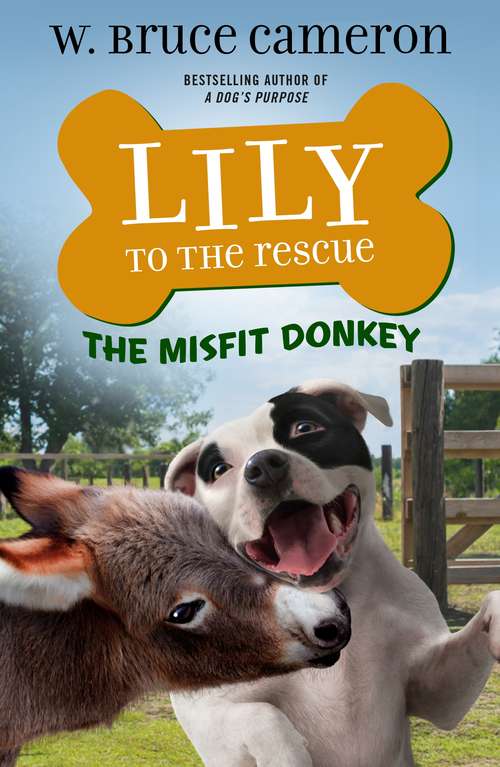 Book cover of Lily to the Rescue: The Misfit Donkey (Lily to the Rescue! #6)