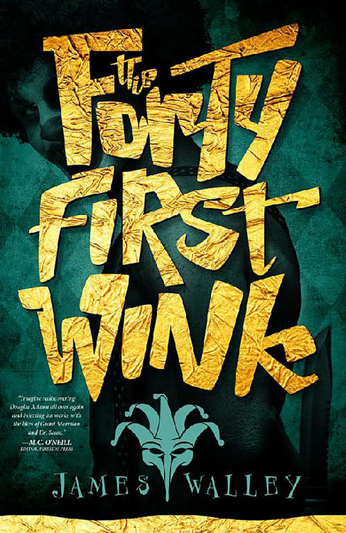 Book cover of The Forty First Wink