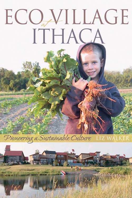 Book cover of Ecovillage at Ithaca