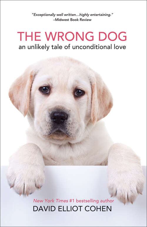 Book cover of The Wrong Dog: An Unlikely Tale of Unconditional Love