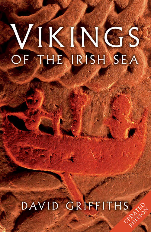 Book cover of Vikings of the Irish Sea