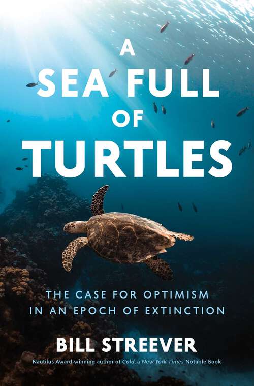 Book cover of A Sea Full of Turtles: The Search for Optimism in an Epoch of Extinction