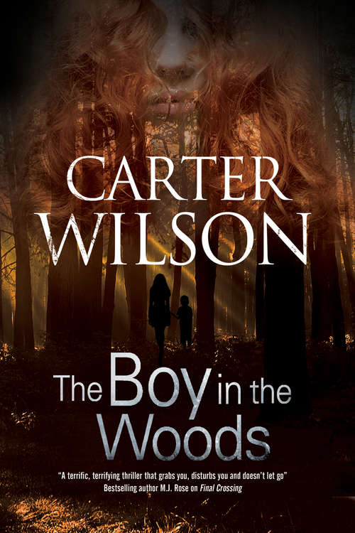 Book cover of The Boy in the Woods