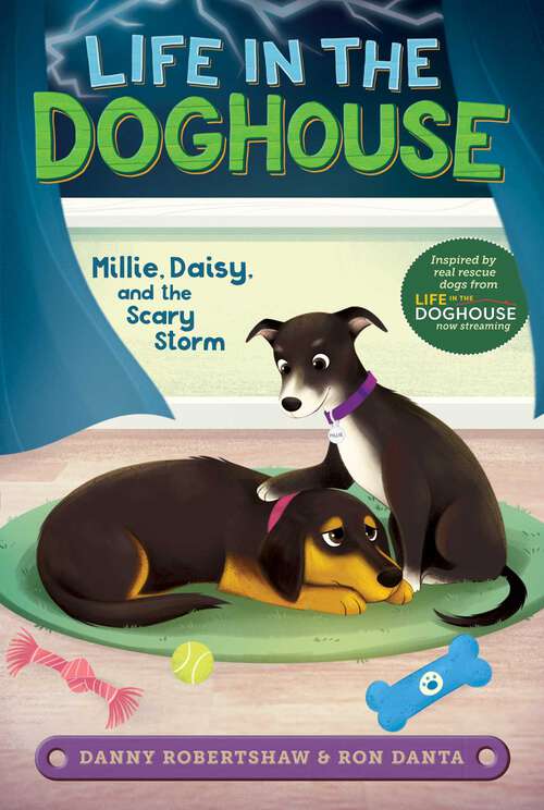 Book cover of Millie, Daisy, and the Scary Storm (Life in the Doghouse)