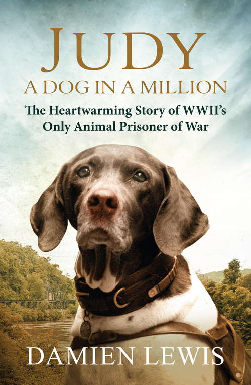Book cover of Judy: From Runaway Puppy to the World's Most Heroic Dog