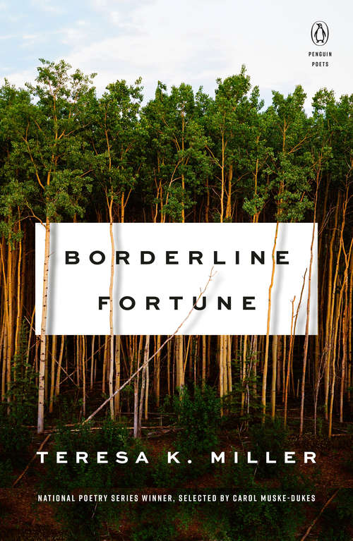 Book cover of Borderline Fortune (Penguin Poets)