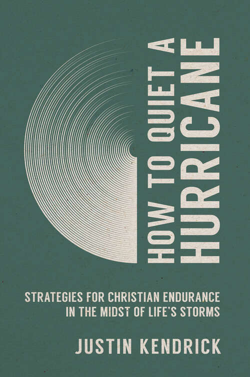 Book cover of How to Quiet a Hurricane: Strategies for Christian Endurance in the Midst of Life's Storms