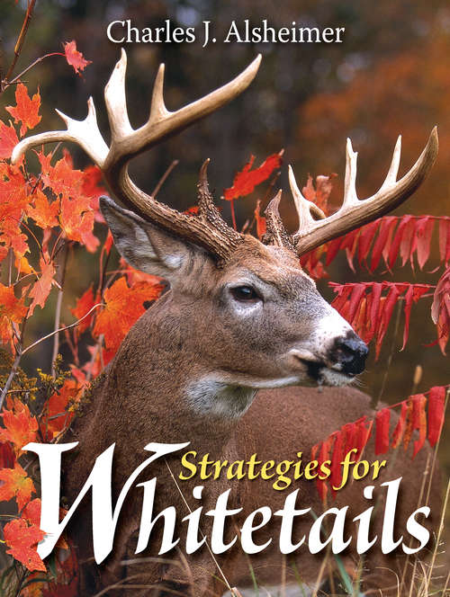 Book cover of Strategies for Whitetails