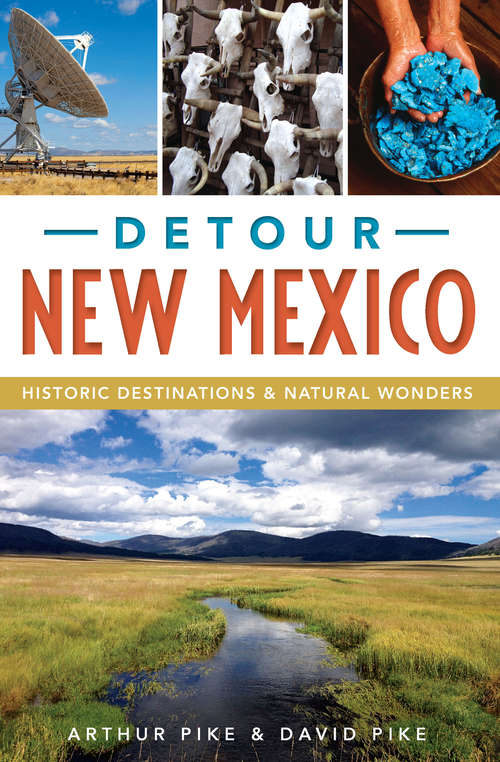 Book cover of Detour New Mexico: Historic Destinations & Natural Wonders