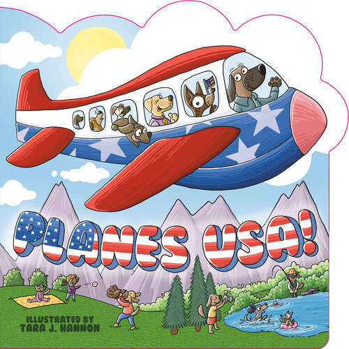 Book cover of Planes USA!