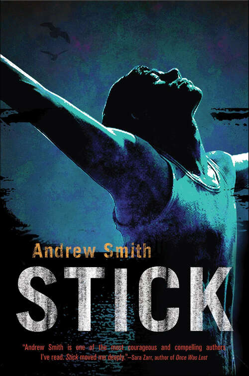 Book cover of Stick: A Novel