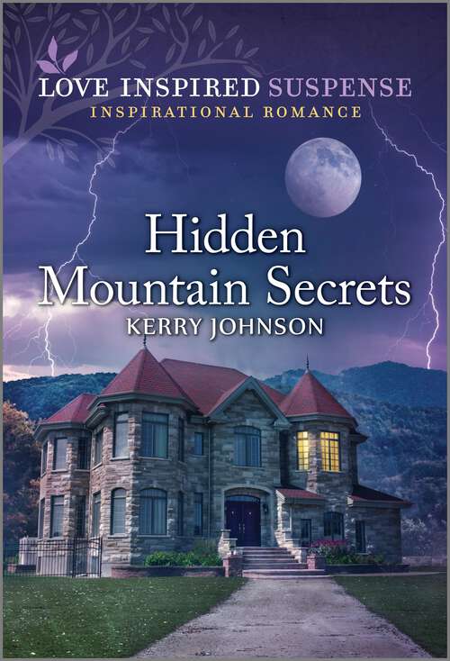 Book cover of Hidden Mountain Secrets (Original)