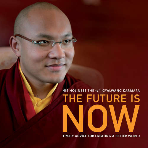 Book cover of The Future is Now: Timely Advice For Creating A Better World