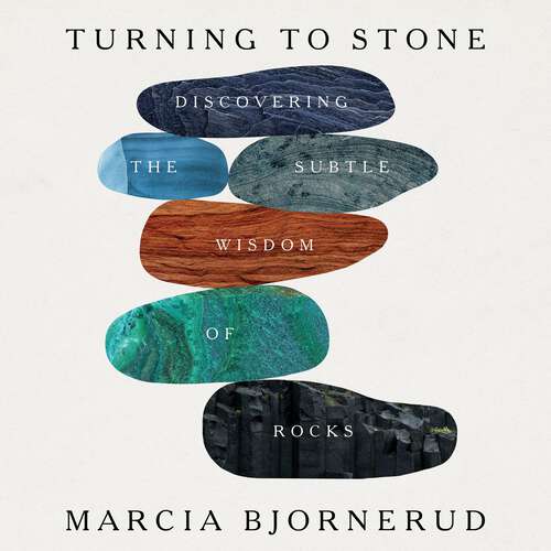 Book cover of Turning to Stone