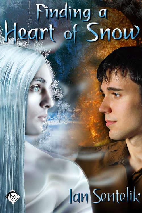 Book cover of Finding a Heart of Snow