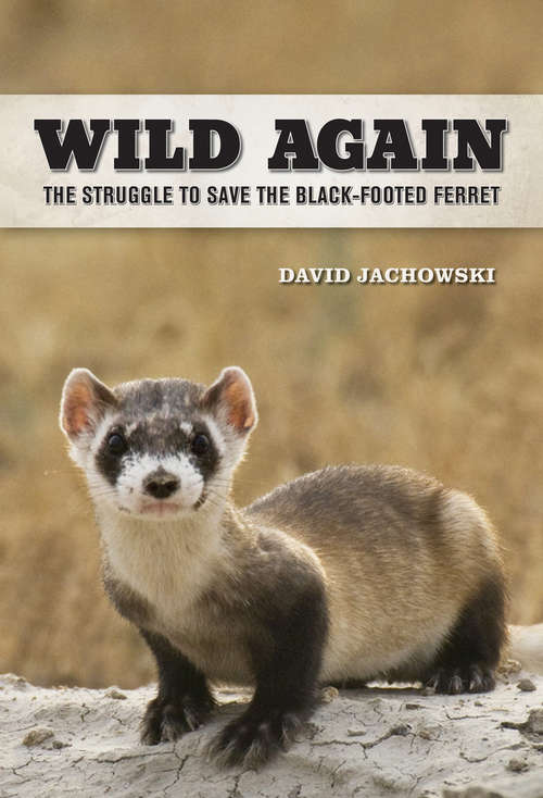 Book cover of Wild Again