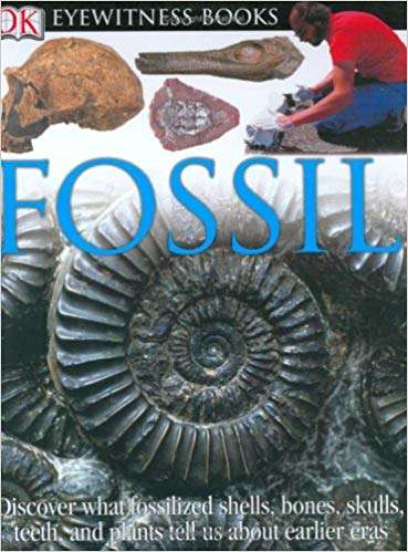 Book cover of Fossil (DK Eyewitness Books)