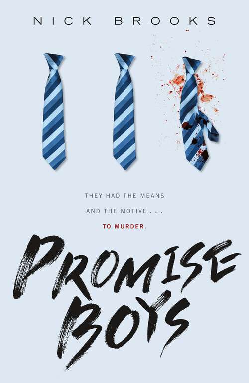 Book cover of Promise Boys