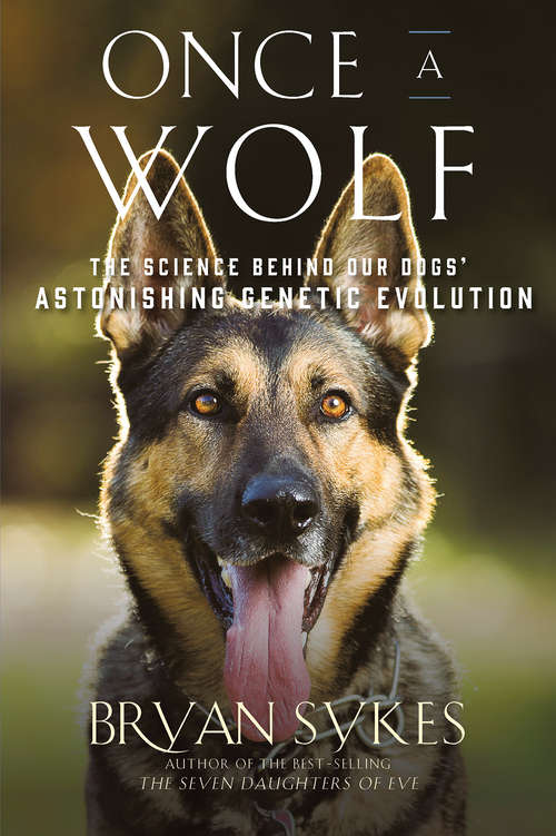 Book cover of Once a Wolf: The Science Behind Our Dogs? Astonishing Genetic Evolution