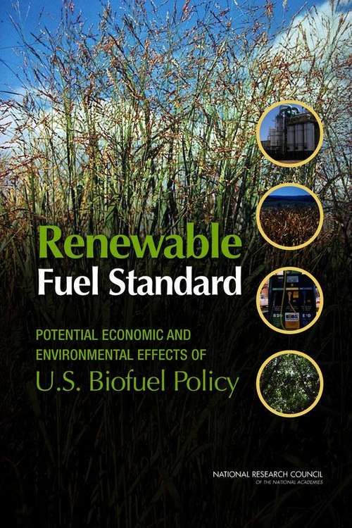 Book cover of Renewable Fuel Standard: Potential Economic and Environmental Effects of U.S. Biofuel Policy