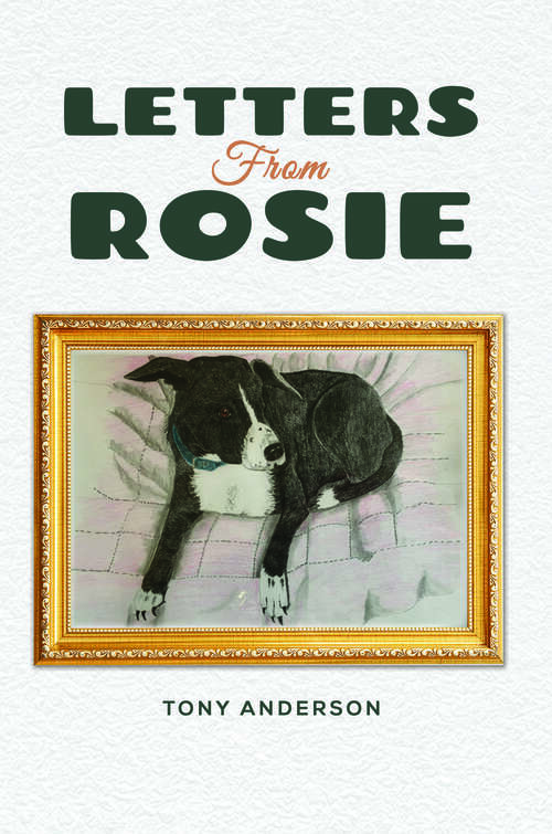 Book cover of Letters from Rosie