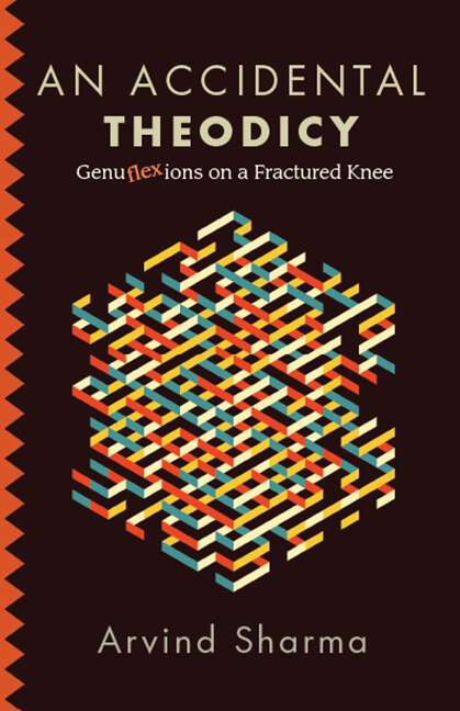 Book cover of An Accidental Theodicy: Genuflexions on a Fractured Knee