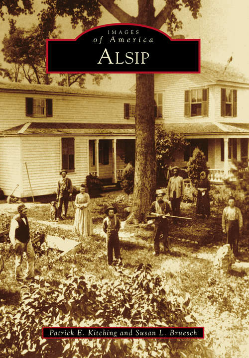 Book cover of Alsip