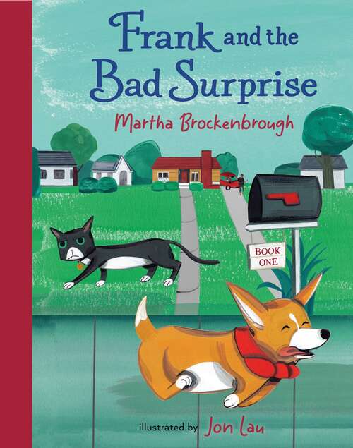 Book cover of Frank and the Bad Surprise