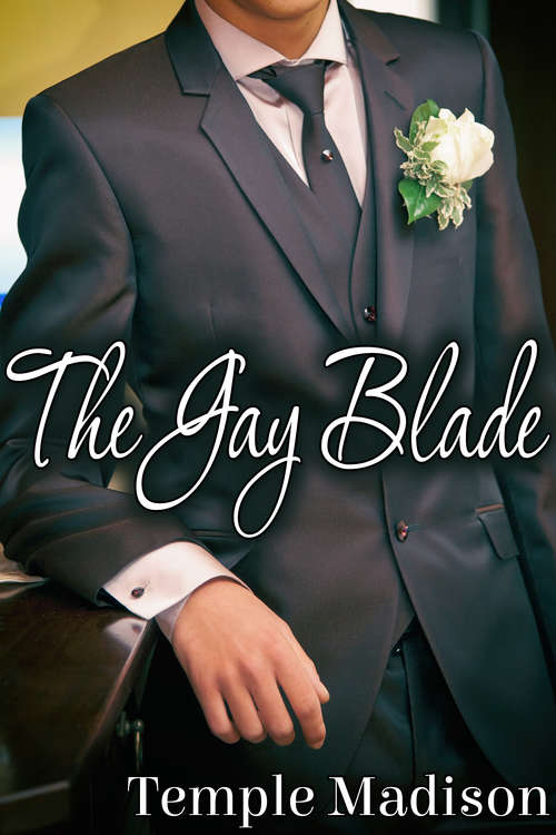 Book cover of The Gay Blade