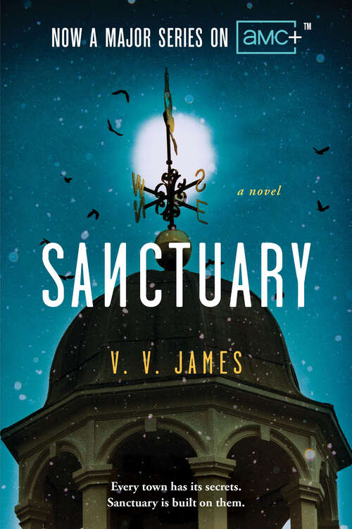 Book cover of Sanctuary: A Novel