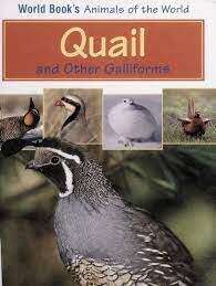 Book cover of Quail and Other Galliforme (World Book's Animals of the World)