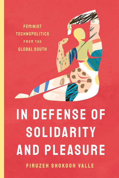 Book cover of In Defense of Solidarity and Pleasure: Feminist Technopolitics from the Global South