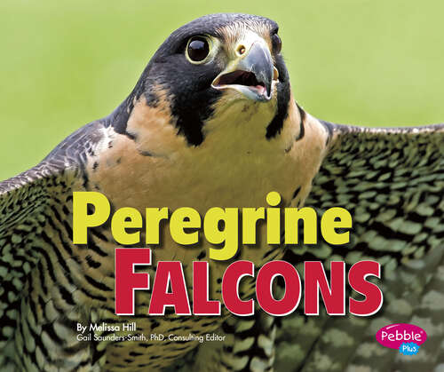 Book cover of Peregrine Falcons (Birds Of Prey Ser.)