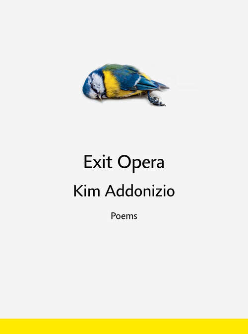 Book cover of Exit Opera: Poems