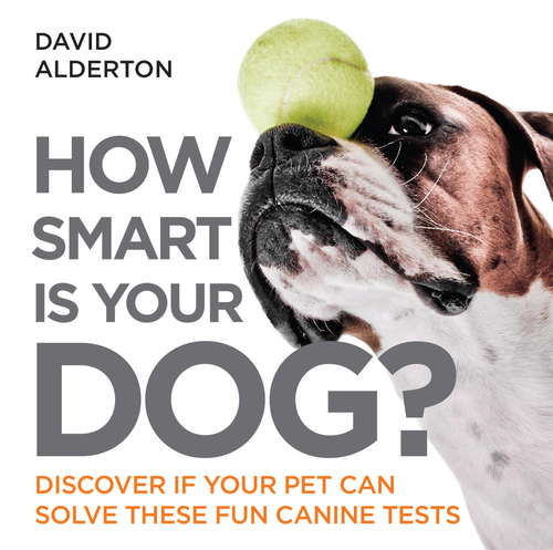 Book cover of How Smart Is Your Dog?: Discover If Your Pet Can Solve These Fun Canine Tests (How Smart Is Your Pet? #1)