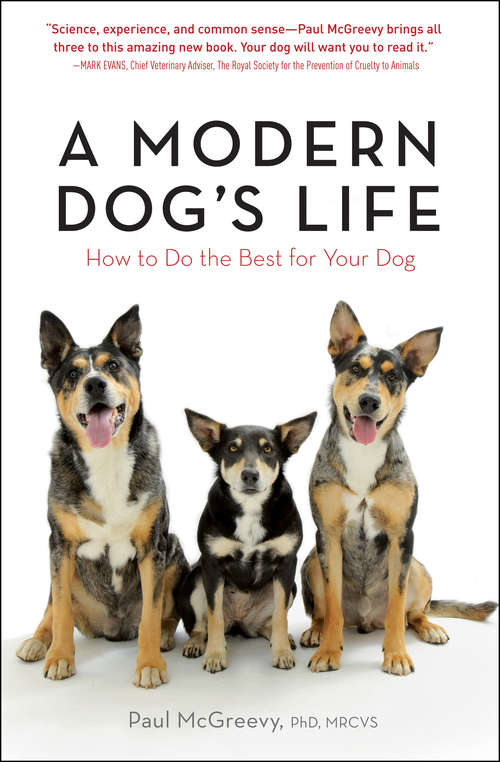 Book cover of A Modern Dog's Life: How to Do the Best for Your Dog