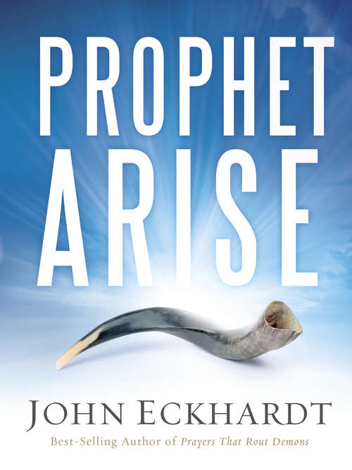 Book cover of Prophet, Arise: Your Call to Boldly Speak the Word of the Lord