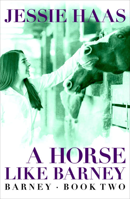 Book cover of A Horse like Barney (Barney #2)
