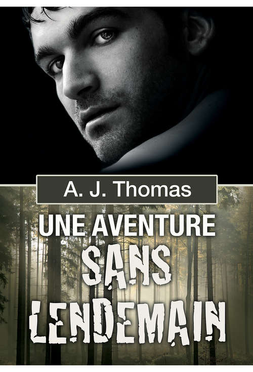 Book cover of Une aventure sans lendemain (Partenariats improbables #1)