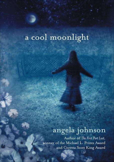 Book cover of A Cool Moonlight