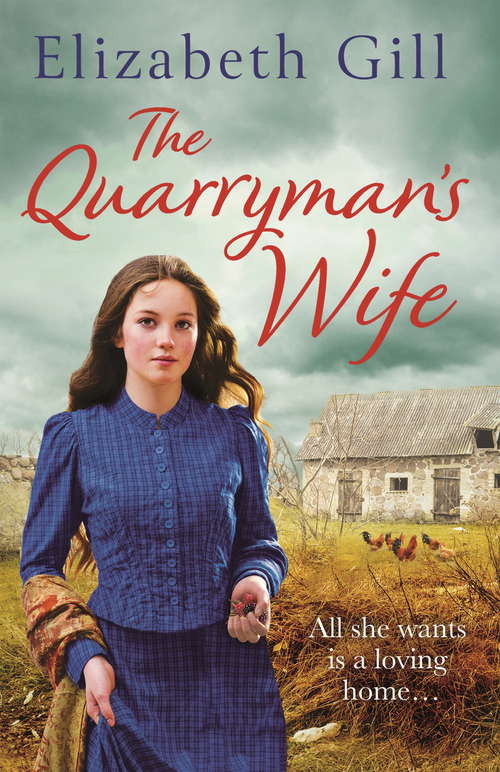 Book cover of The Quarryman's Wife: Through times of trouble can she find hope? (The Weardale Sagas)